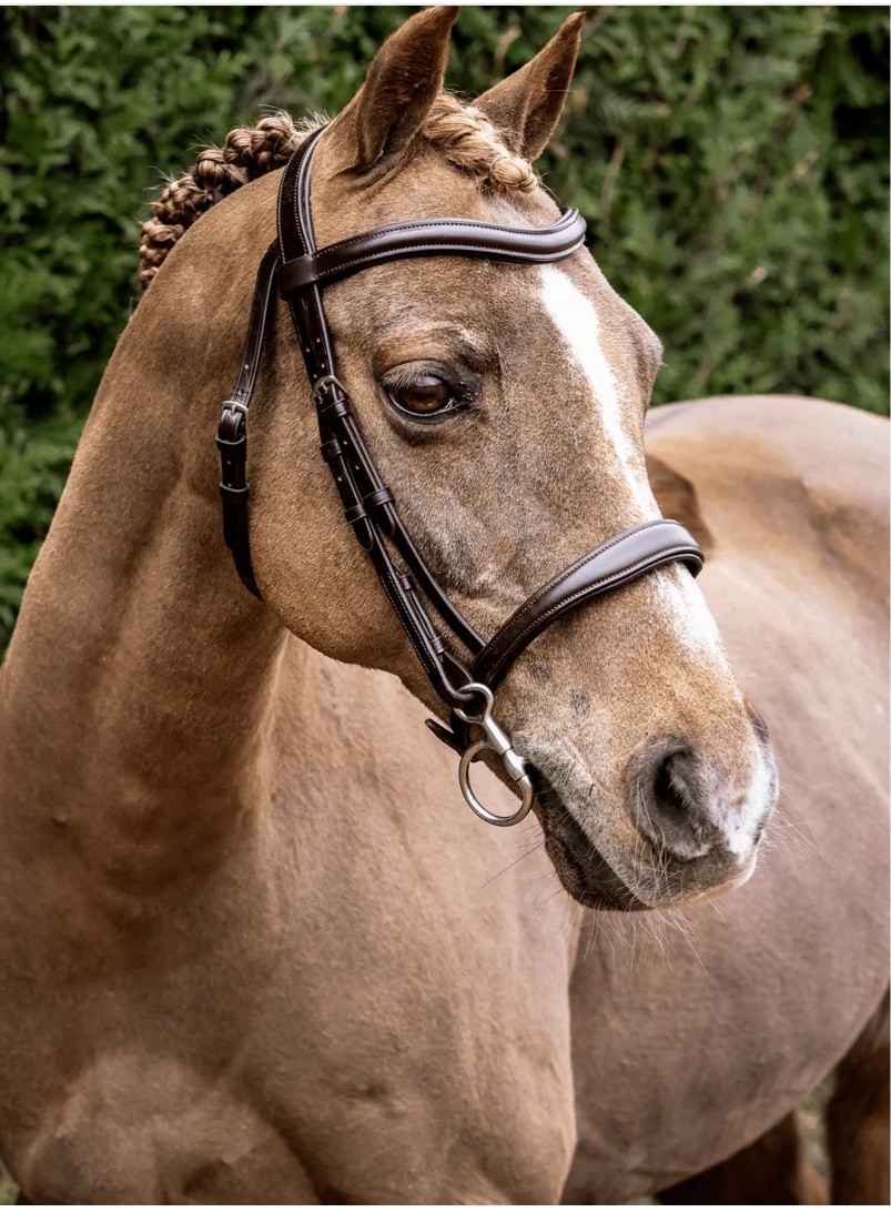 Beautiful Henry James Brown Bridle