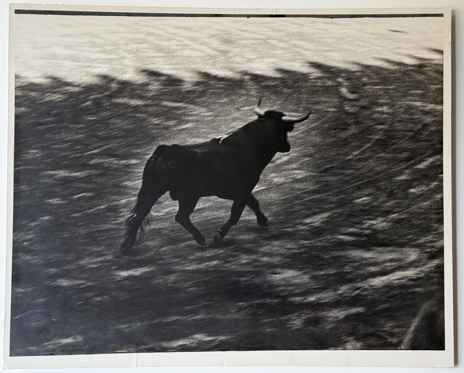 Walter Silver Bull Fight Barcelona 1957 Gelatin Silver Print Unframed