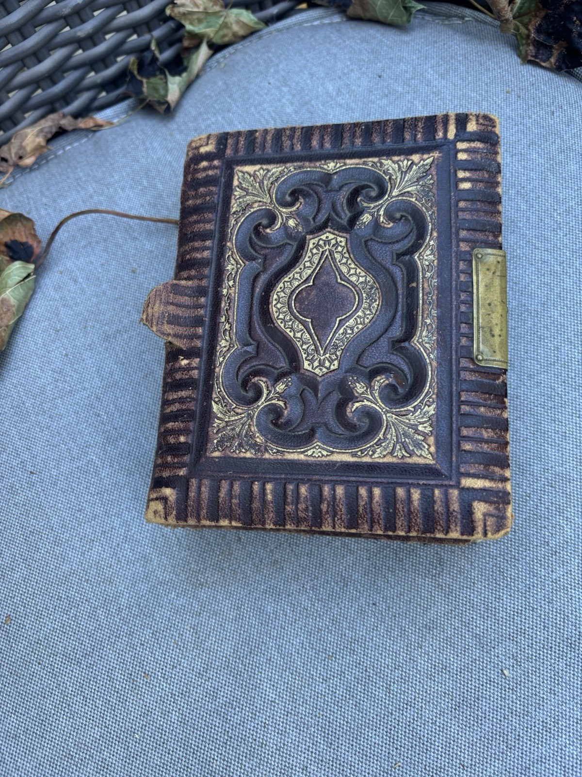 Antique 1800s Victorian photo album Newfoundland Toronto tin type Tintype photos