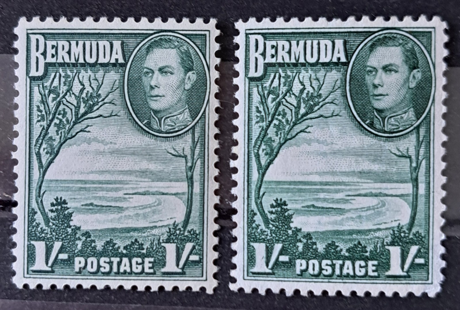 Bermuda 1938-52 KGVI 1/= Both Colors  Mint  sg115 & 115a
