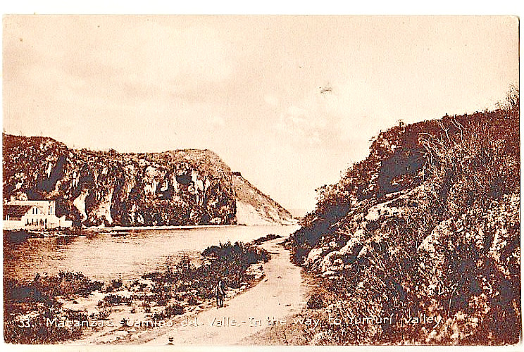 VINTAGE POSTCARD \