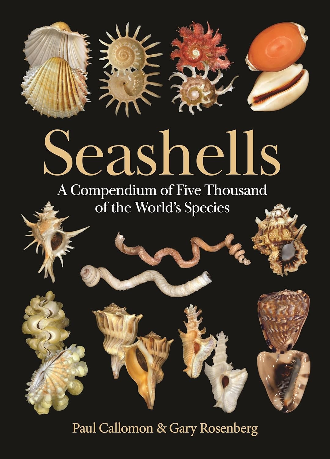 Seashells: A Compendium of Five Thousand of the World's Species Hardcover Seashells: A Compendium of Five Thousand of the World's Species Hardcover