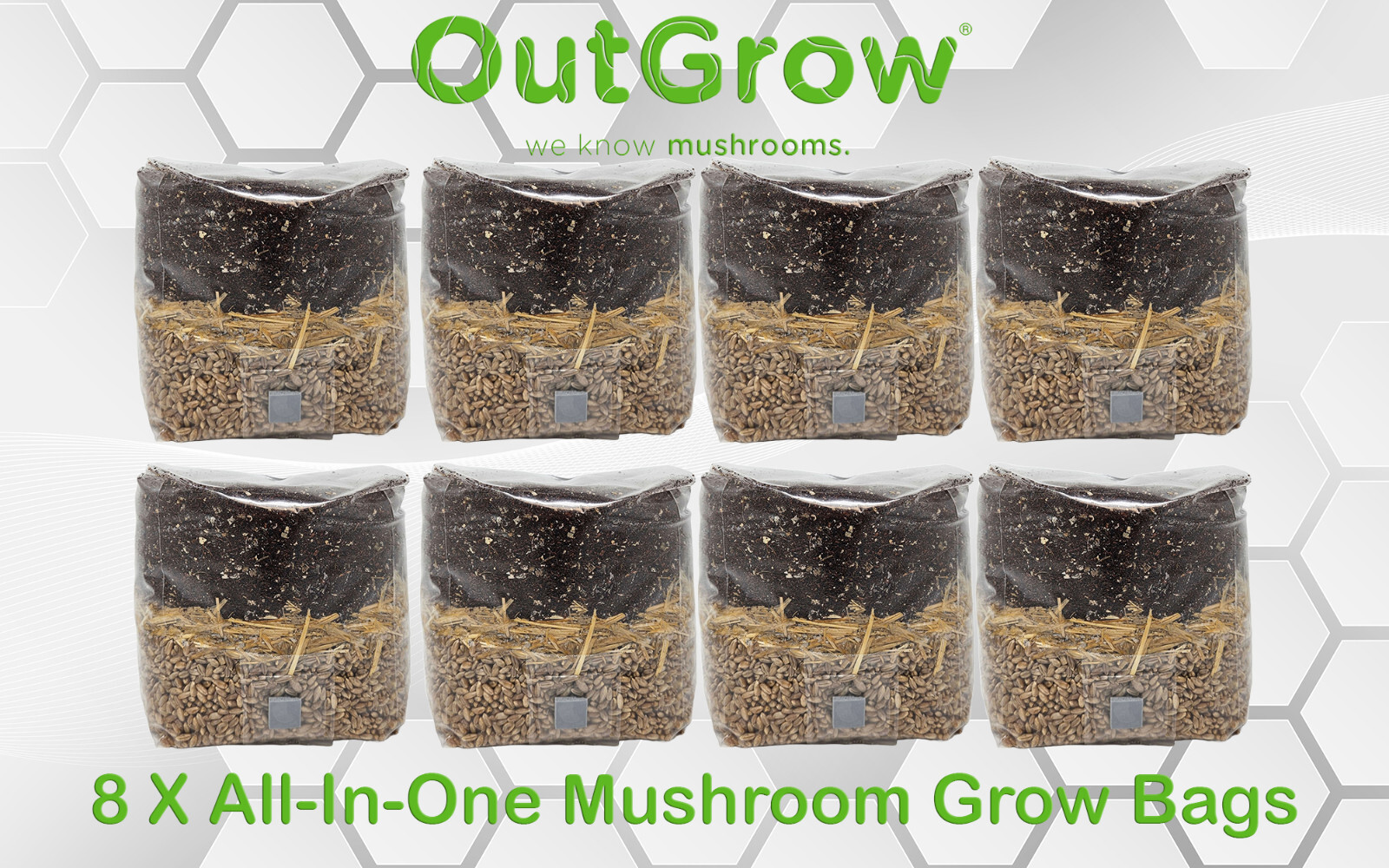 All In One Mushroom Grow Bag 8 Pack Manure Based Substrate Injection Port