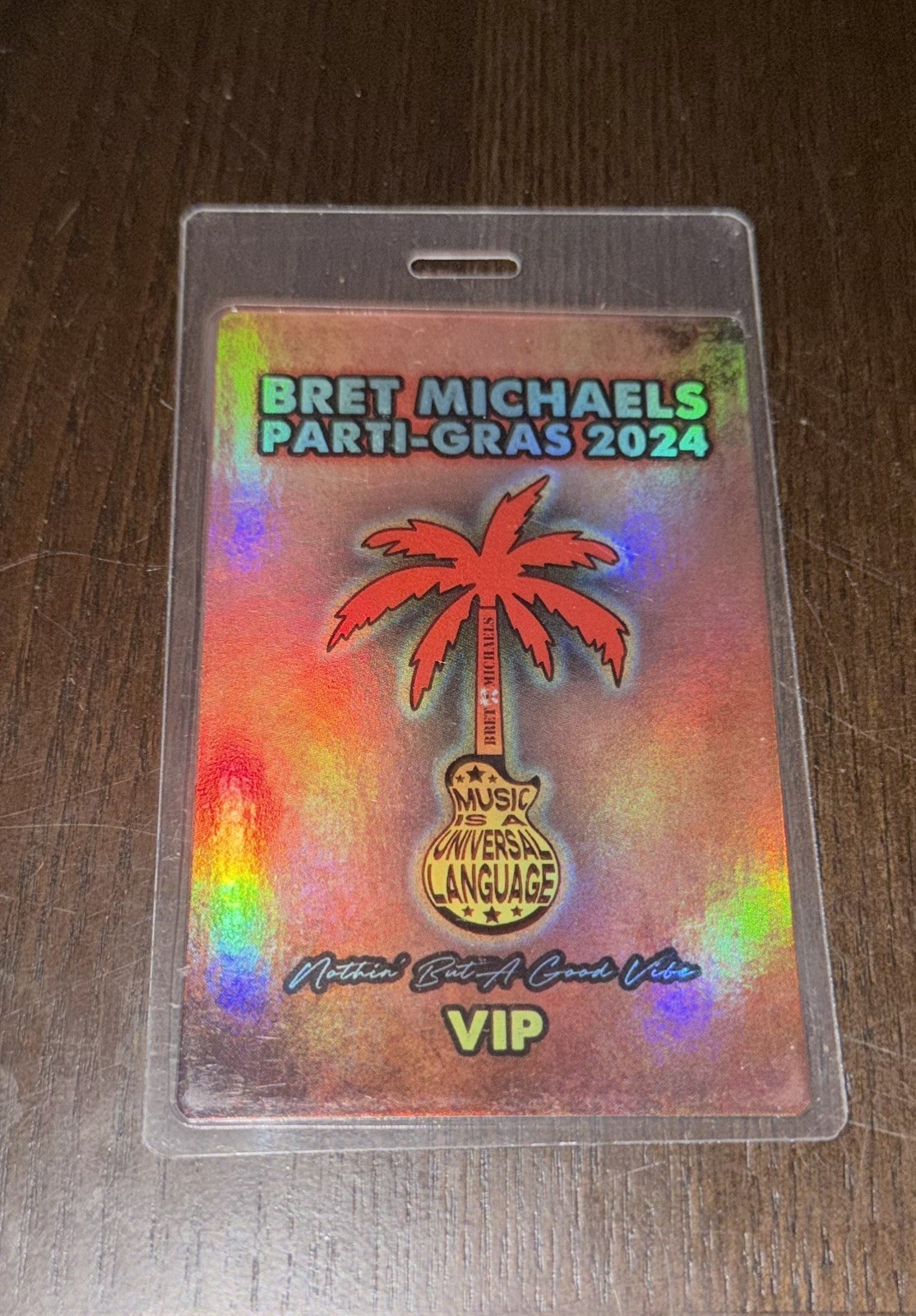 BRET MICHAELS 2024 PARTI-GRAS TOUR VIP PASS CC DEVILLE BOBBY DALL RIKKI ROCKETT