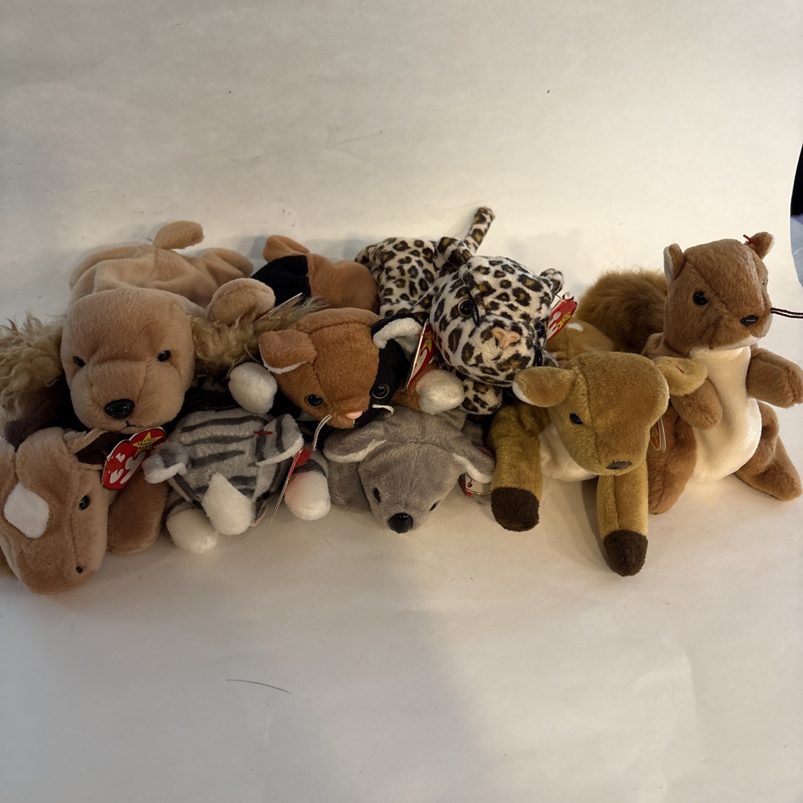 (8) TY Beanie Babies Nuts, Whisper, Freckles, Chip, Prance, Derby, Mel, Spunky