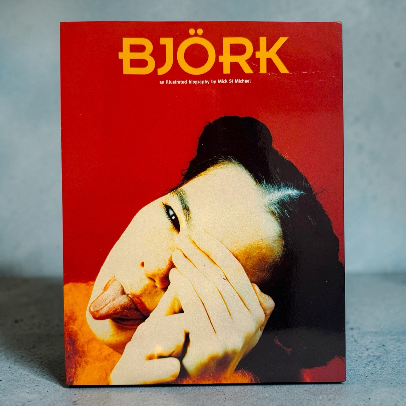 BJORK An Illustrated Biography Book 1996 Vintage Omnibus Press Mick St Michael