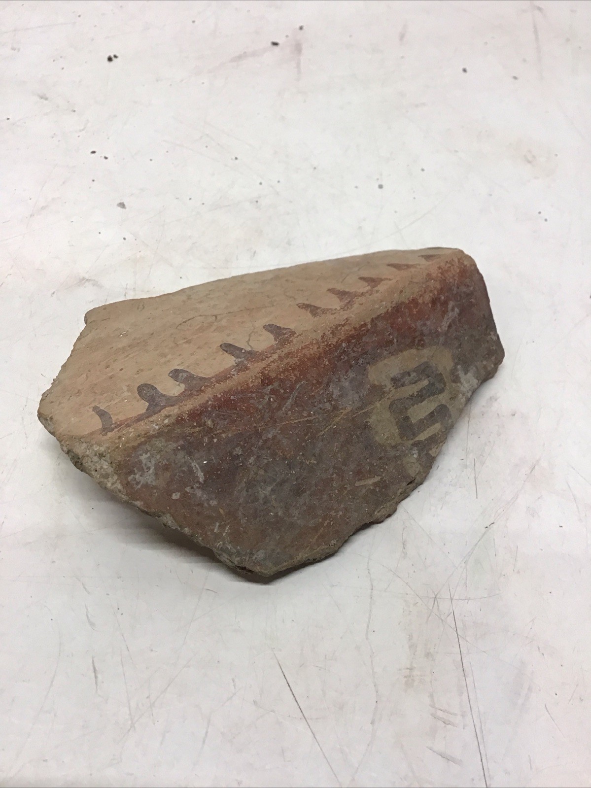 1 Pottery Shard,Possibly Prehistoric Native American Southwest Ancestral Pueblo?