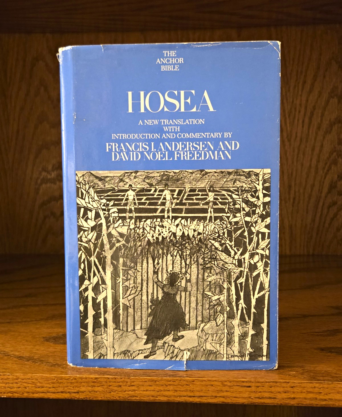 Doubleday Anchor Bible Hosea HC Andersen/Freedman 1980 Commentary DJ Doubleday Anchor Bible Hosea HC Andersen/Freedman 1980 Commentary DJ