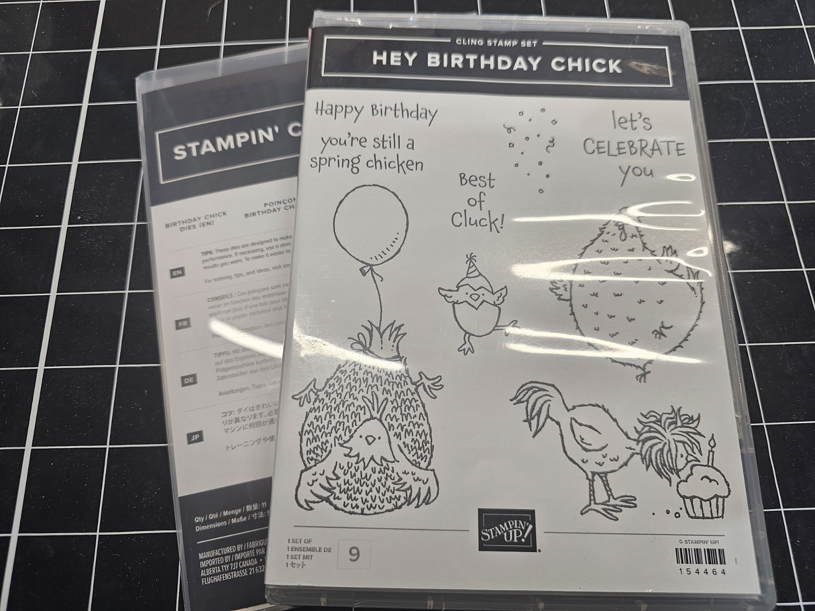 Stampin Up HEY BIRTHDAY CHICK Stamps & BIRTHDAY CHICK Dies SPRING CHICKEN Stampin Up HEY BIRTHDAY CHICK Stamps & BIRTHDAY CHICK Dies SPRING CHICKEN