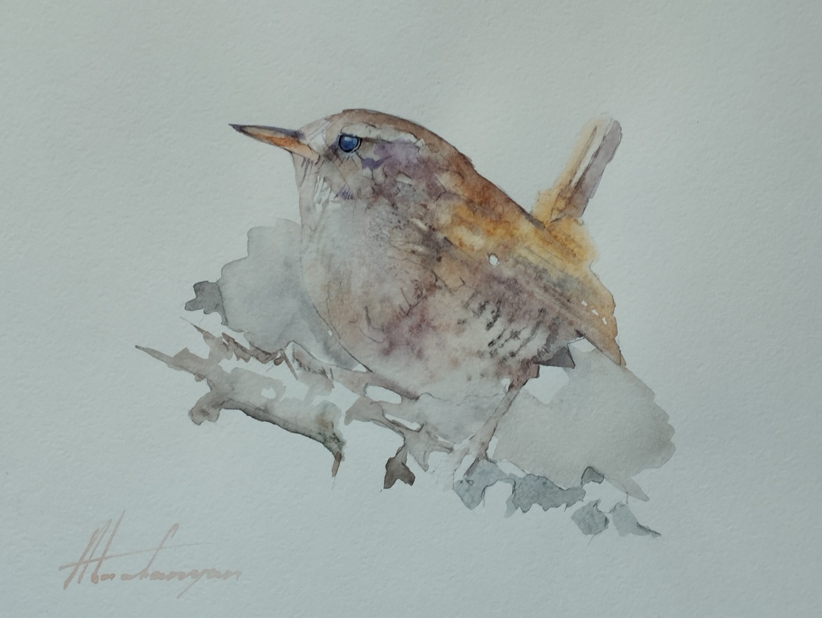 Wren,  Birds, Watercolor artwork, Handmade, Original painting on paper