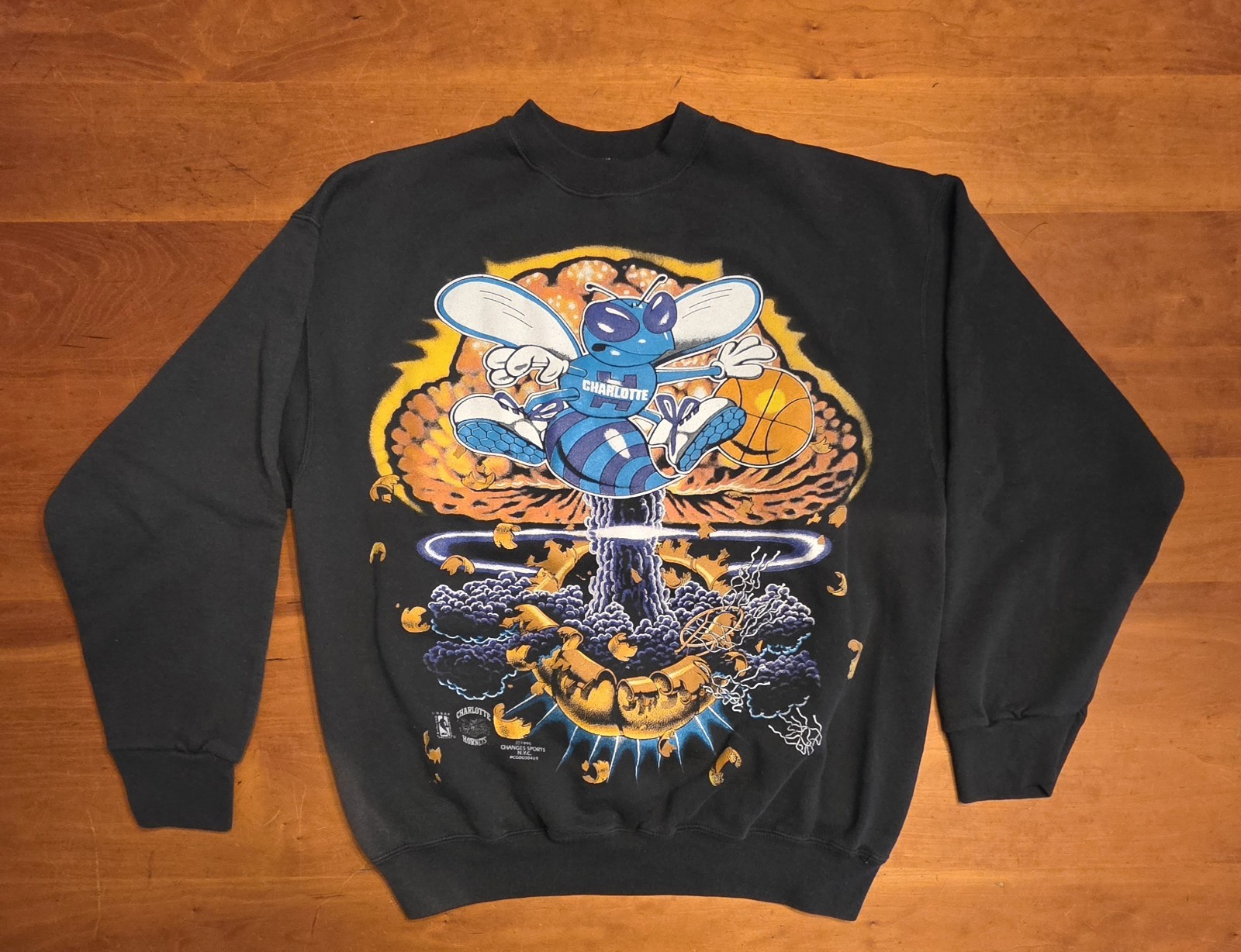 1995 Charlotte Hornets Vintage Sweatshirt, X-Large 