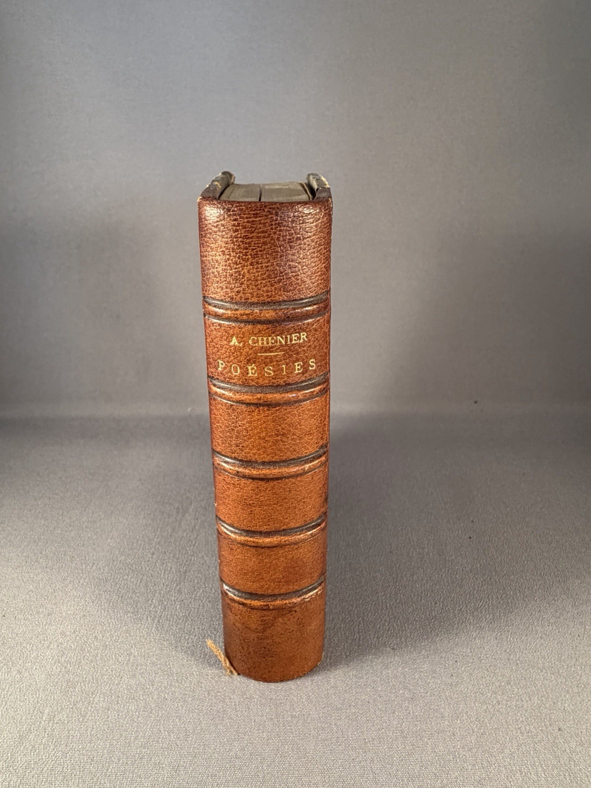 1901 Poésies de André Chénier French Poetry Book Leather Marbled Binding 1901 Poésies de André Chénier French Poetry Book Leather Marbled Binding