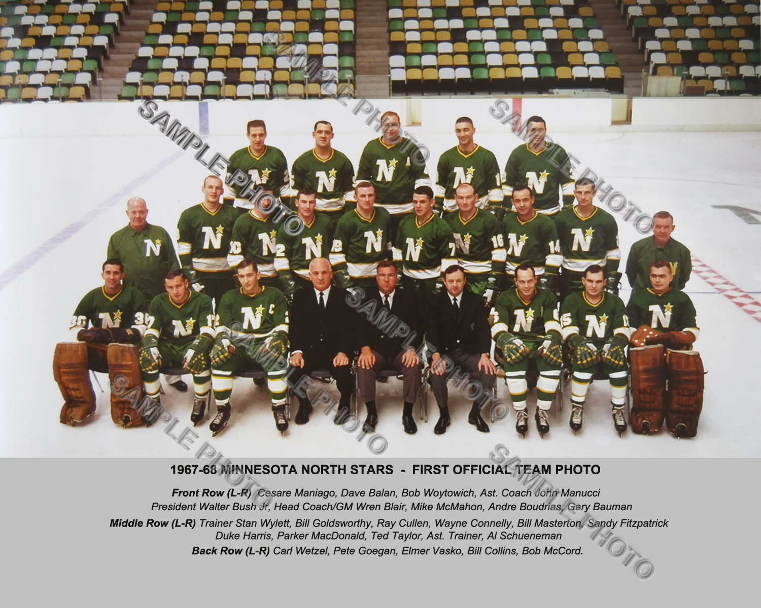 1967-68 MINNESOTA NORTH STARS FIRST INAUGURAL 8X10 COLOR TEAM PHOTO 