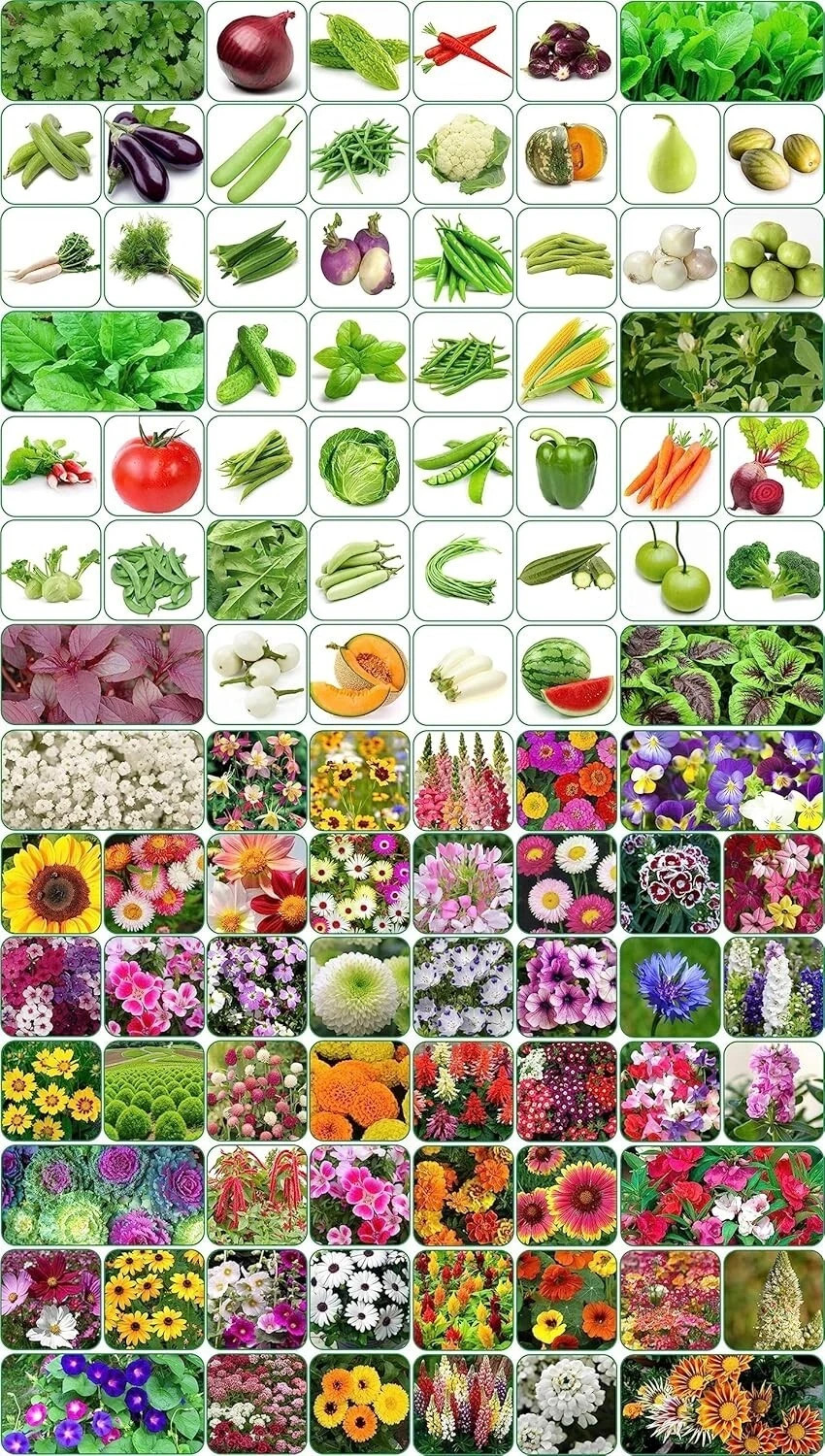 100 variety(50 flower and 50 vegetable) seeds combo pack with instruction manual
