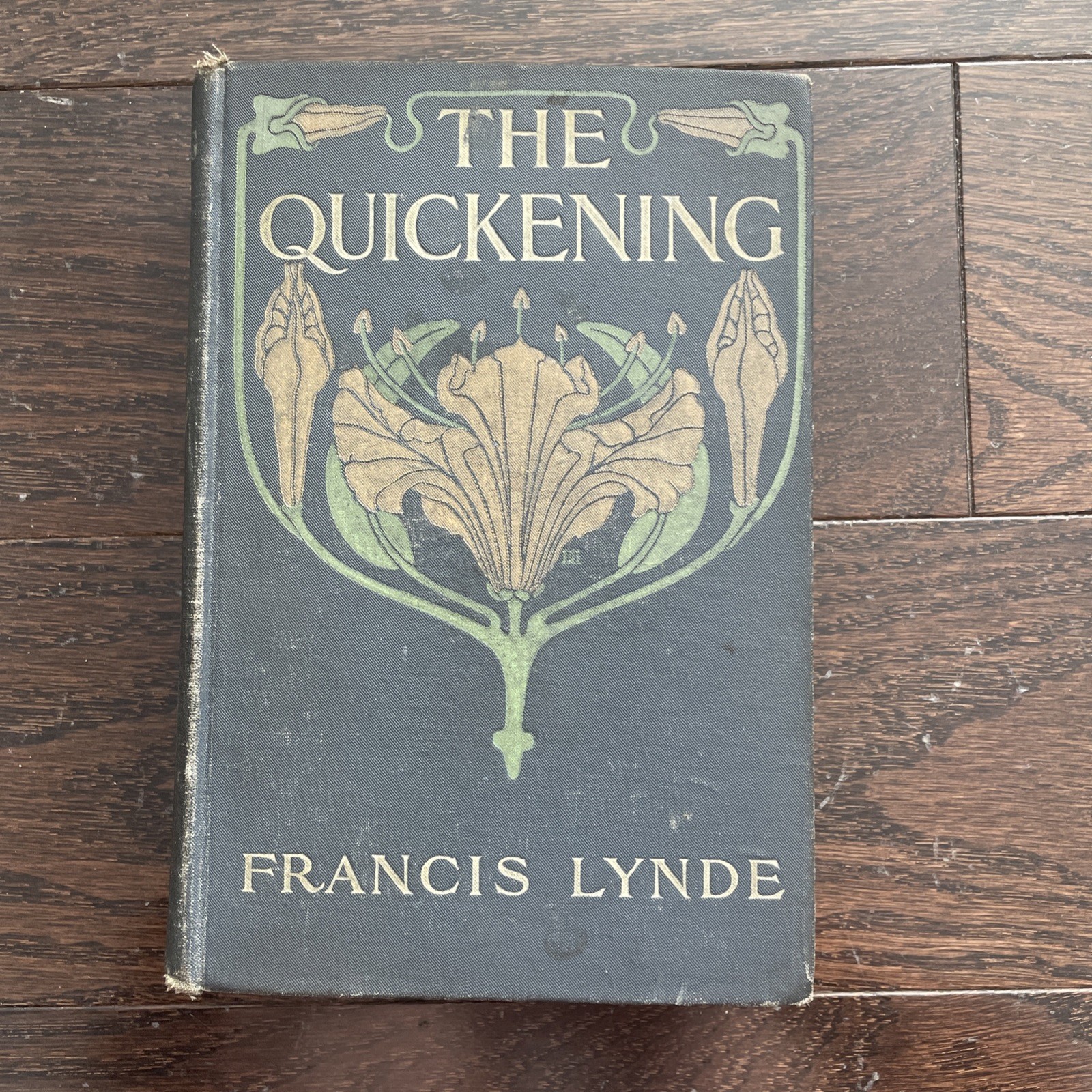 1909 Antique Novel “The Quickening” Lynde