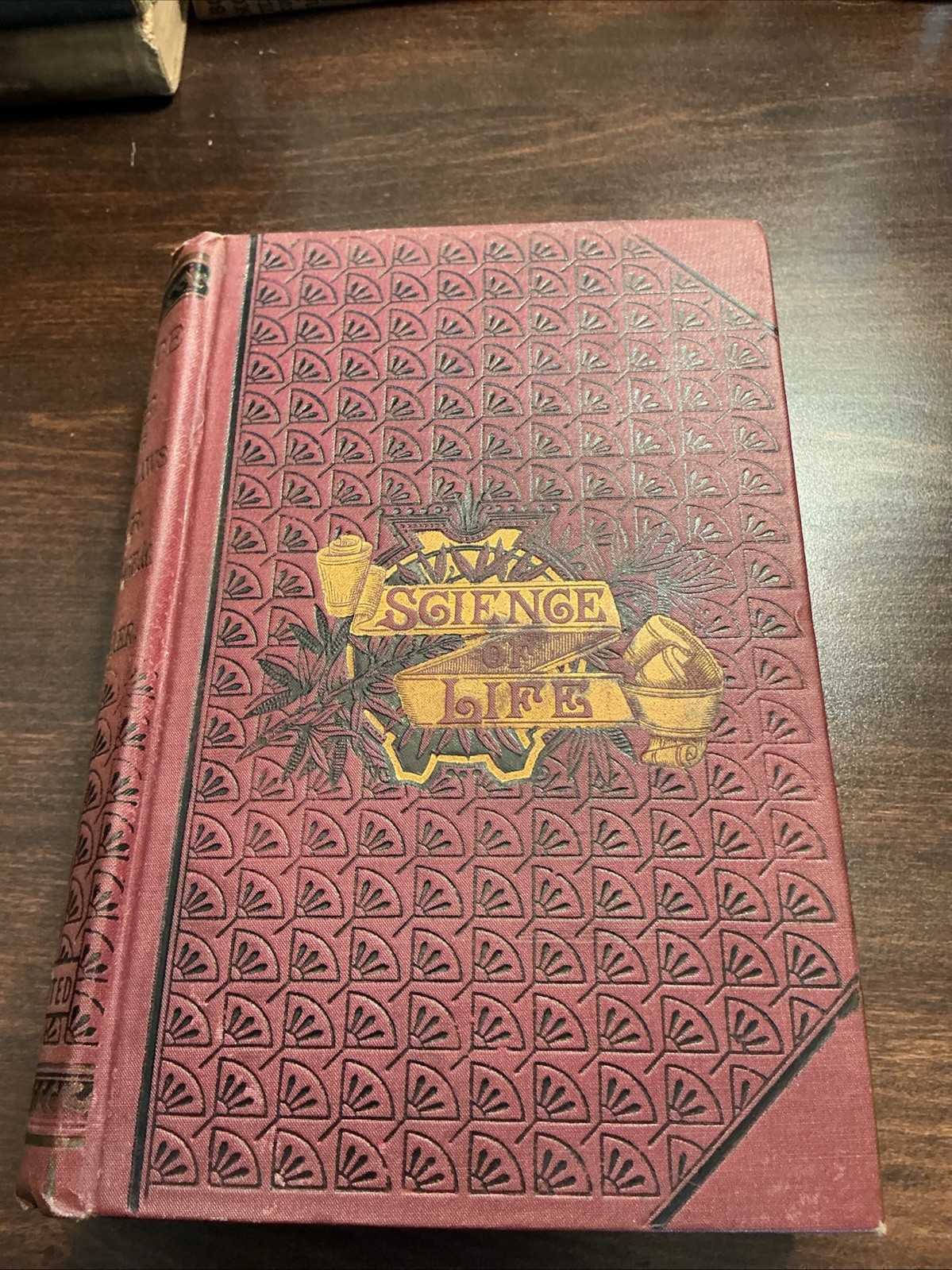￼ Creative And Sexual Science Or Manhood, Womanhood, And Their Mutual ￼(HC 1875)