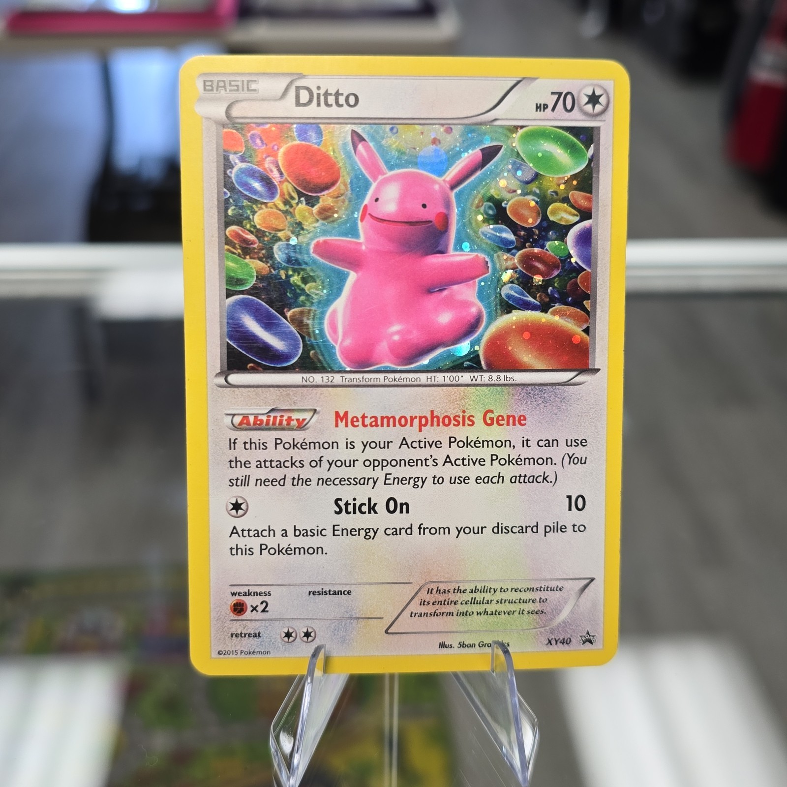 Pokemon Ditto XY40 XY Holo Promo Card English Basic 70 HP Pokemon Ditto XY40 XY Holo Promo Card English Basic 70 HP