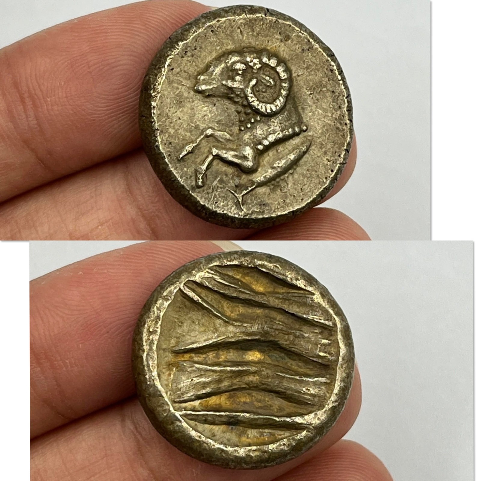 Antique solid Silver Indo Greek Greco Bactrian Coin Antique solid Silver Indo Greek Greco Bactrian Coin