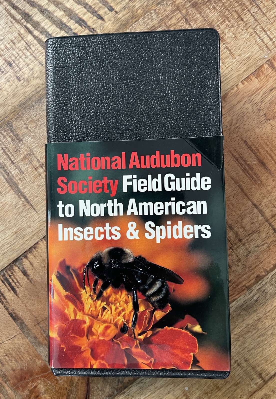 National Audubon Society Field Guide to Insects and Spiders : North America... National Audubon Society Field Guide to Insects and Spiders : North America...