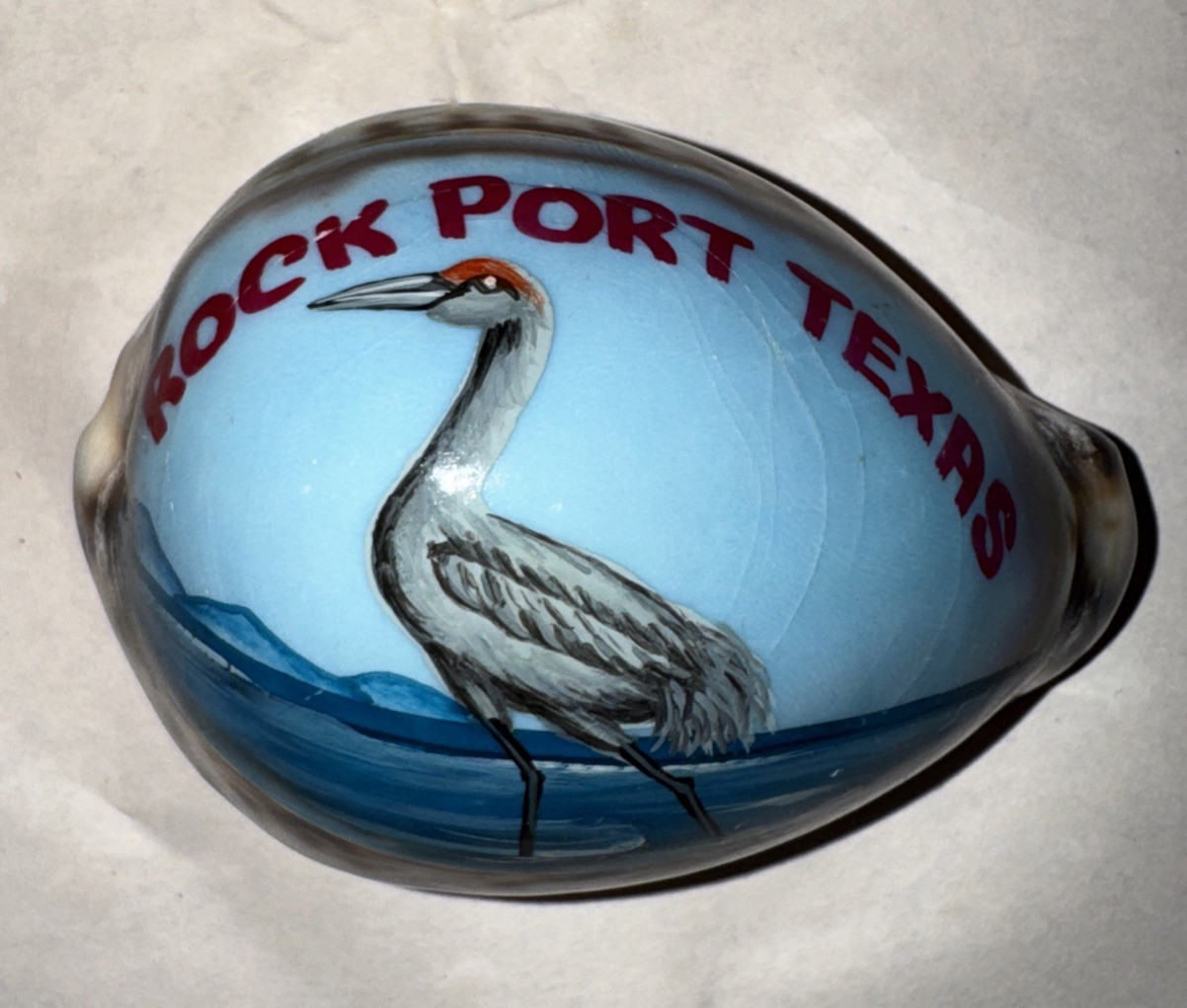 Rockport Texas Seashell  preowned 