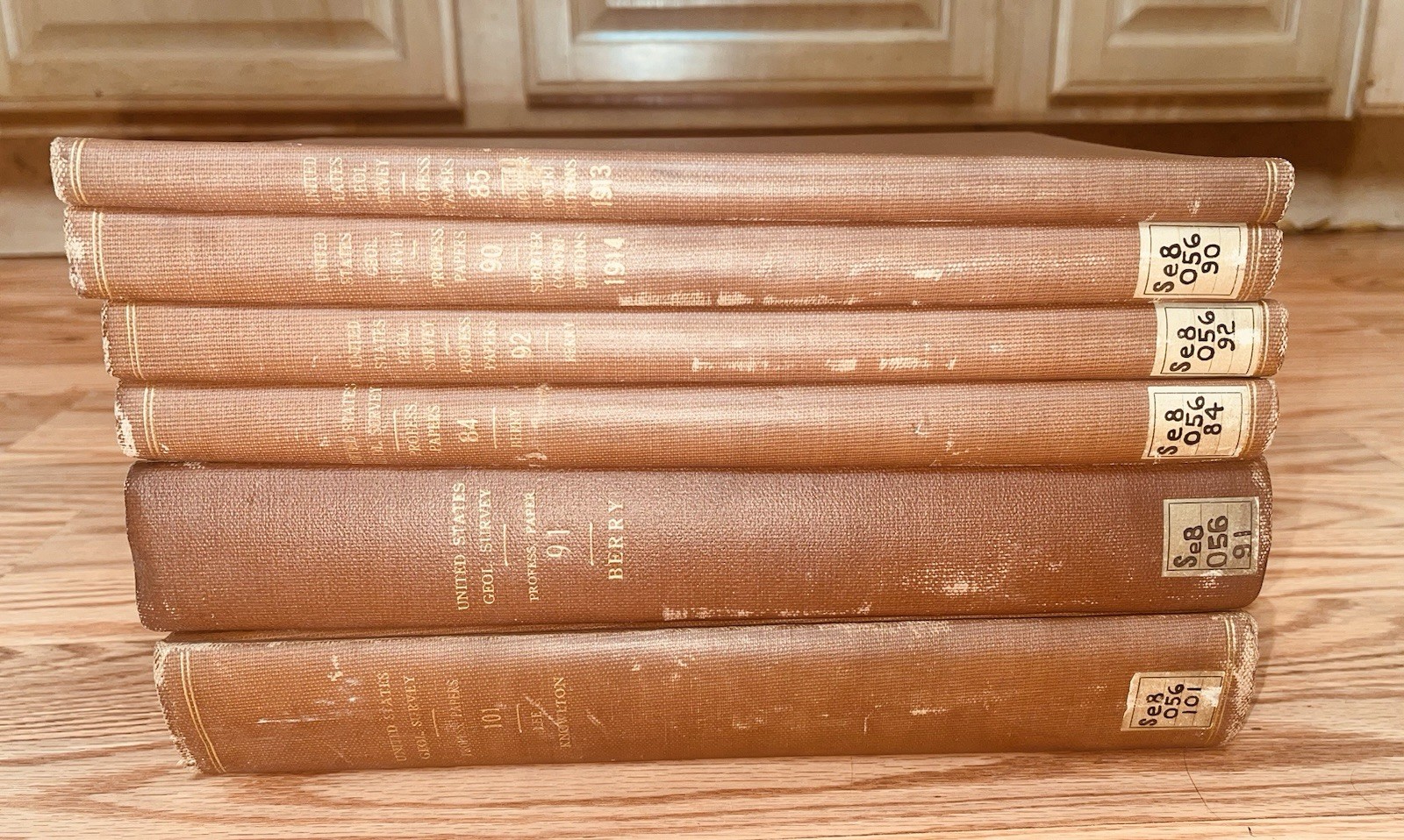 United States Geological Survey Professional Papers Barry Paleontology 1900s USG