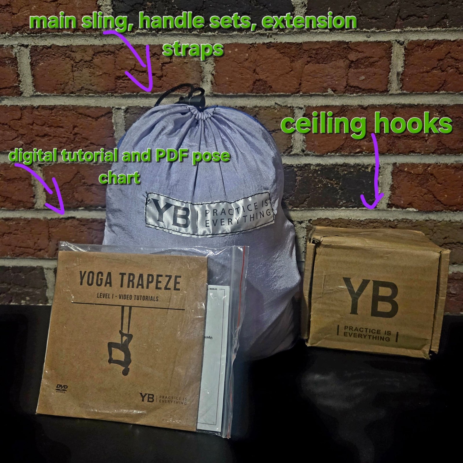 NWOT Complete YOGABODY Yoga Trapeze Inversion Swing Set w/ Ceiling Hooks and DVD
