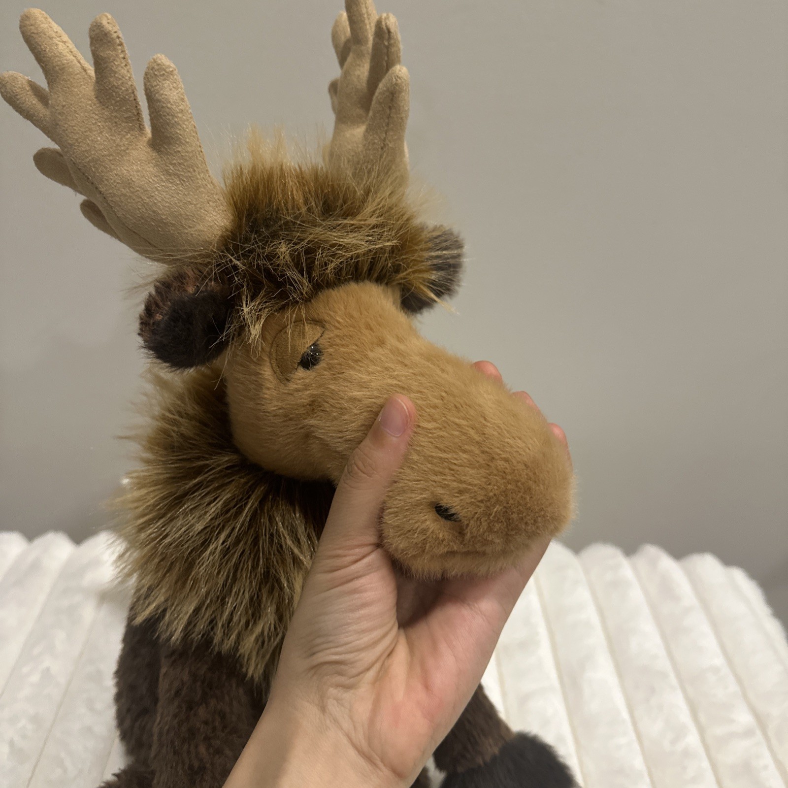 Jellycat Birchly Moose - Indigo Canada EXCLUSIVE - BNWT