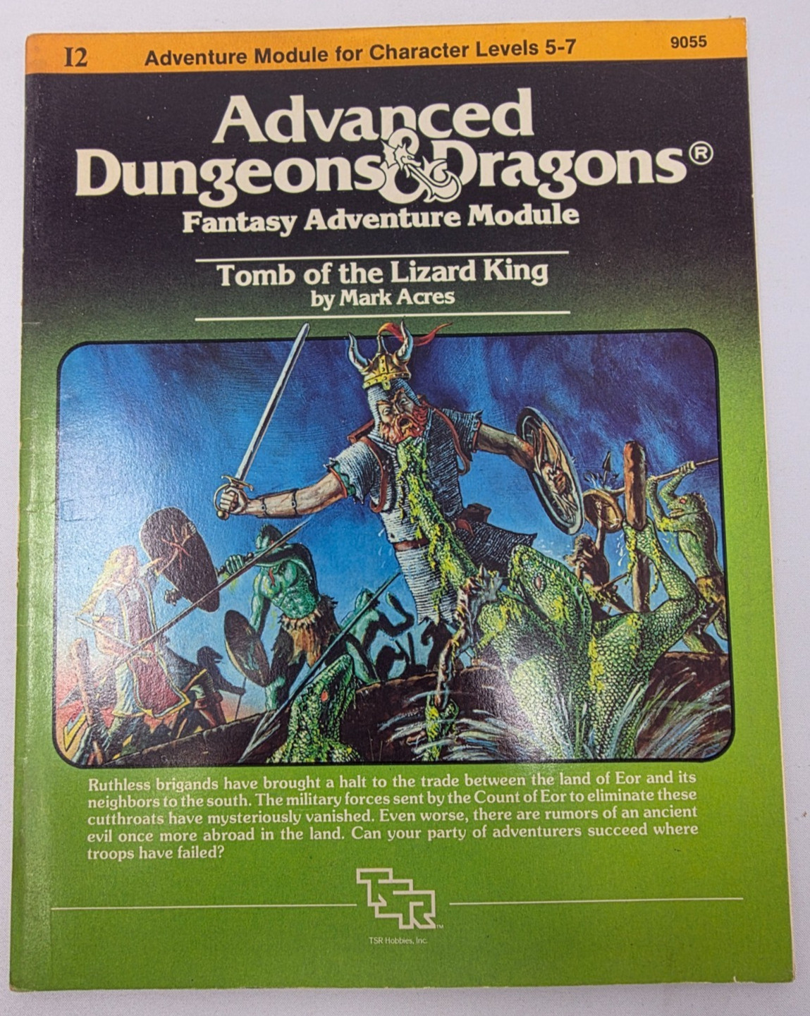 TSR AD&D Tomb of the Lizard King 1982 MPN 9055 (B201)