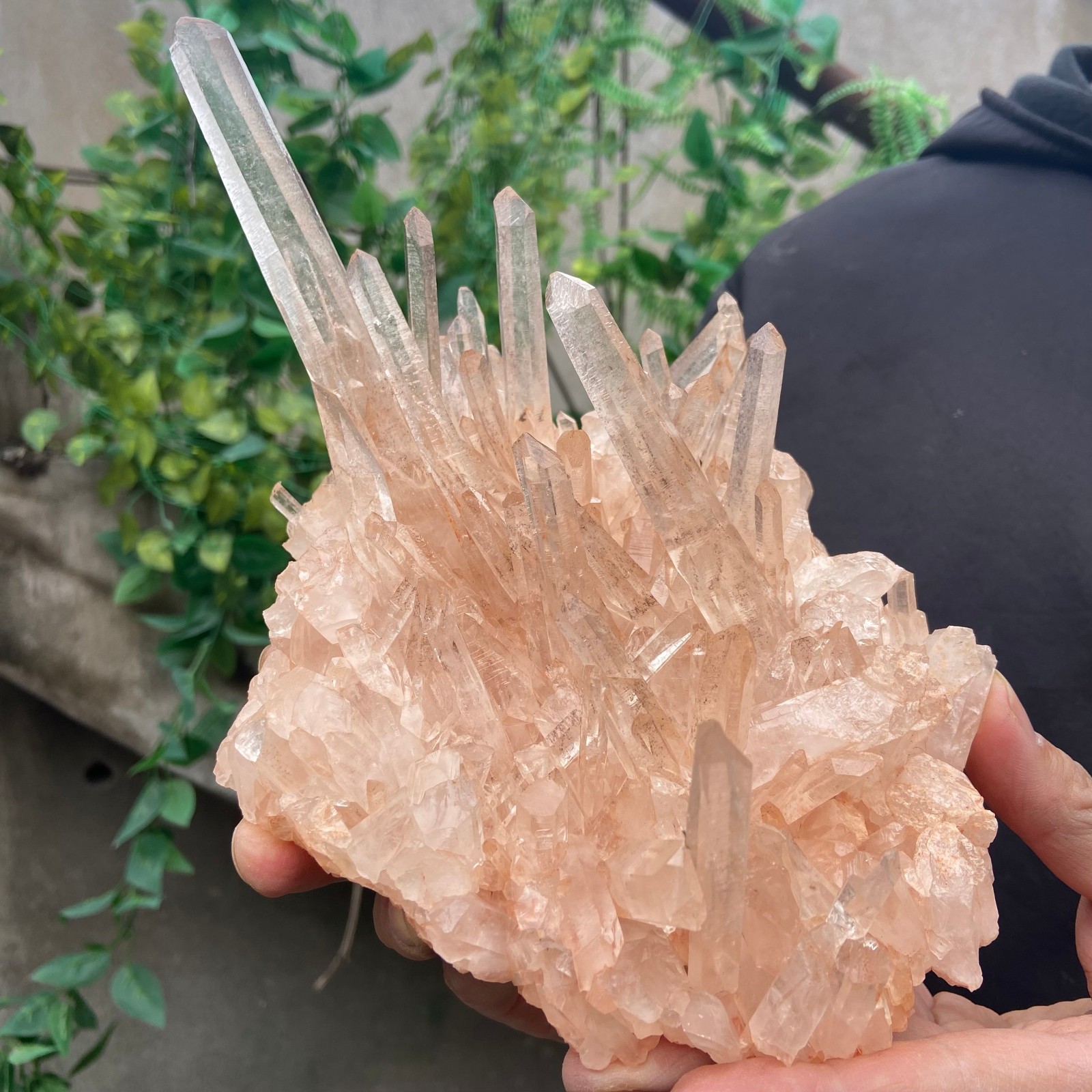 2.5lb Natural Clear PINK White Quartz Crystal Cluster Rough Healing Specimen