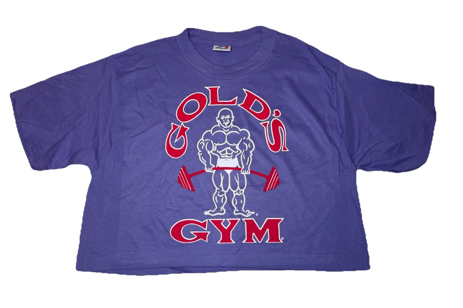 Vintage Golds-Gym Body-Builder Crop-Top Shirt Womens Large Purple NWOT NOS