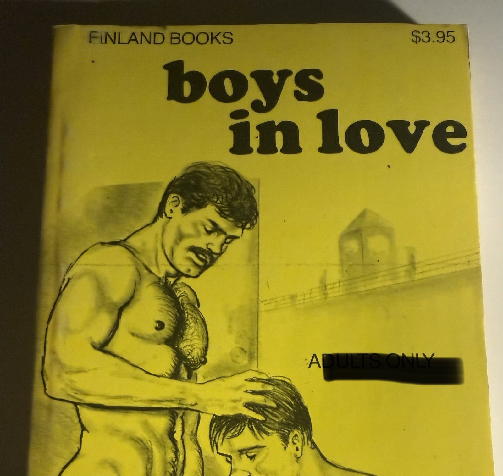 GUYS IN LOVE  -1987 NO AUTHOR- FINLAND BOOKS- VINTAGE PULP NOVEL GAY INTEREST