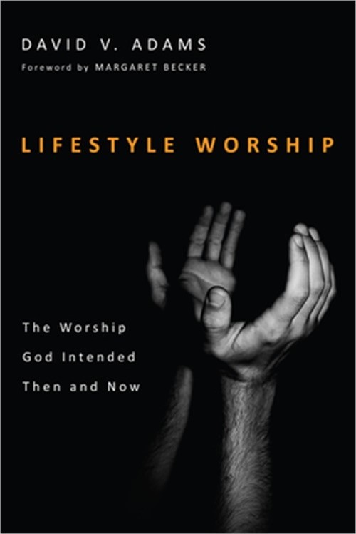 Lifestyle Worship (Paperback or Softback)