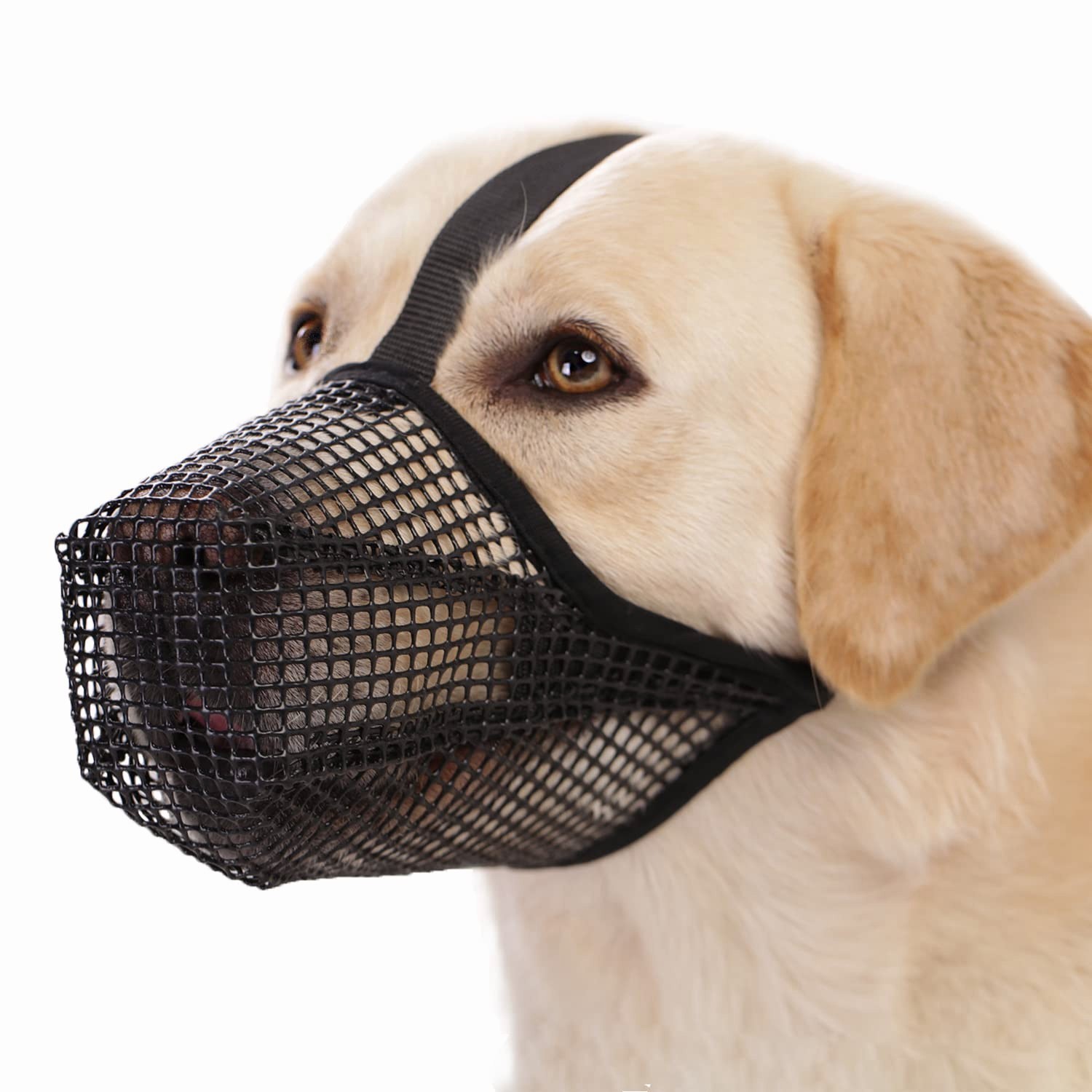 Pet Dog Muzzle Anti-lick Anti-Biting Chewing Bark Licking Mouth Cover Mesh Mask