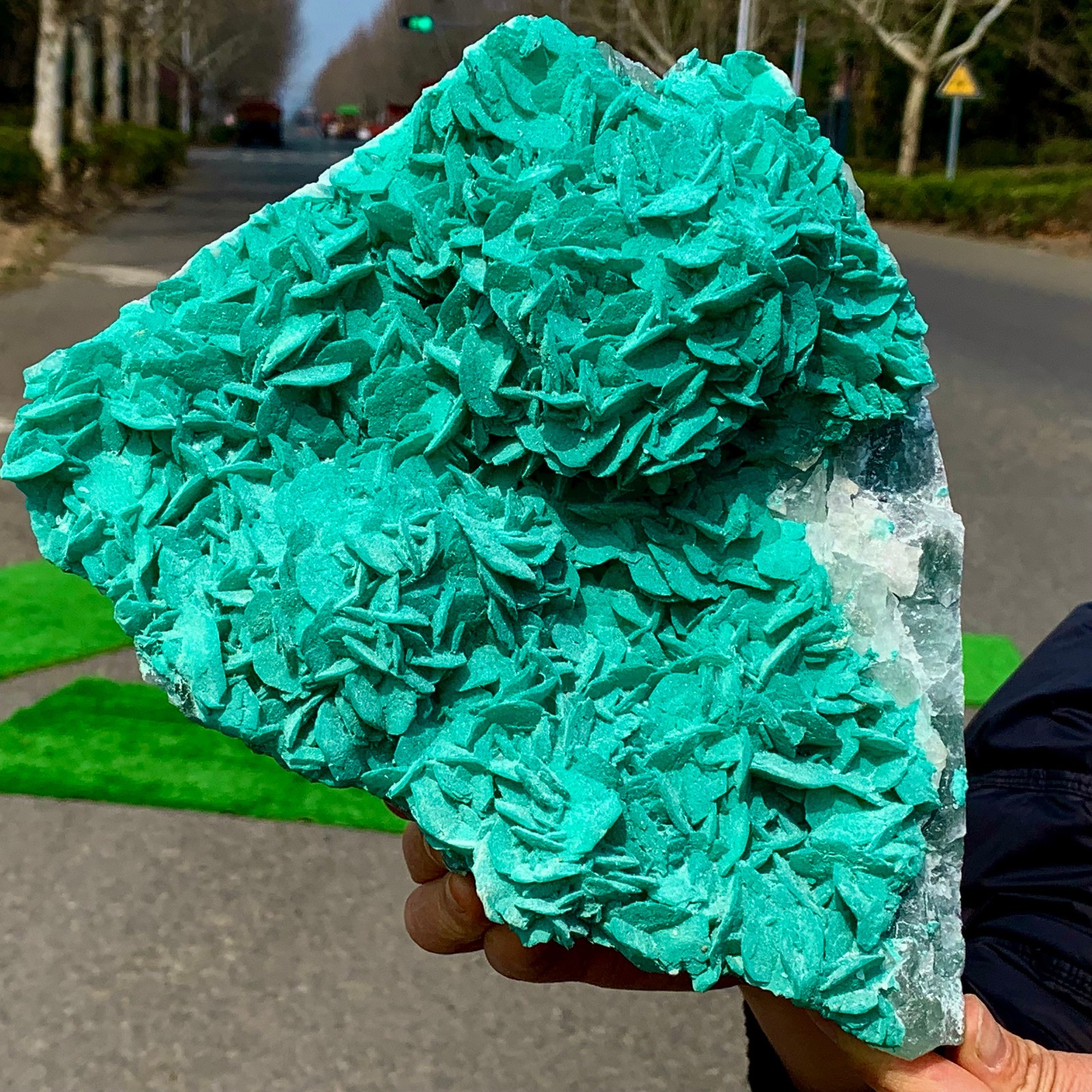 8.4LB Natural green dioptase emerandine+azuritegemstone cluster mineral specime