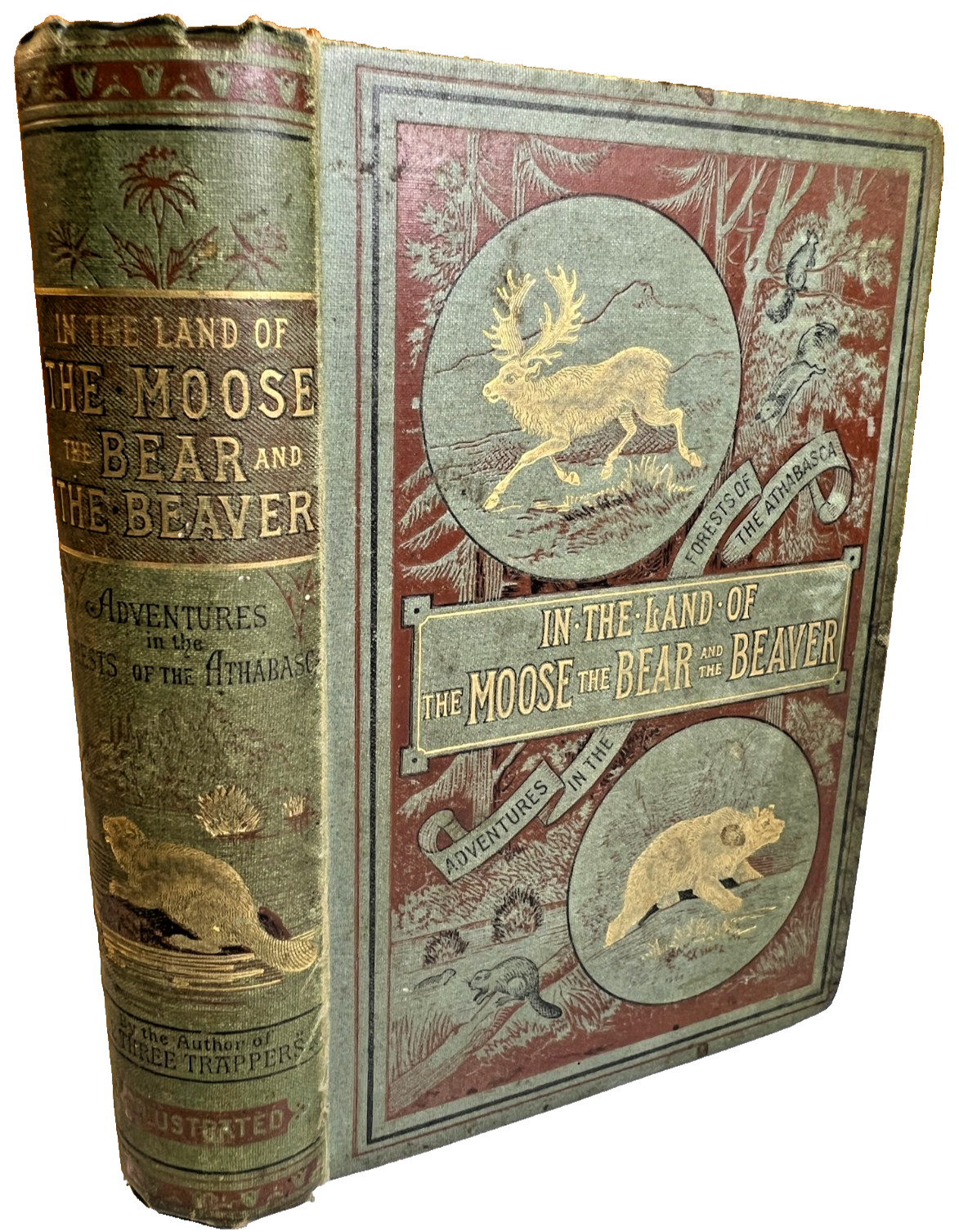 1885 IN THE LAND OF THE MOOSE, BEAR & BEAVER Hunting, Sporting & Natural History