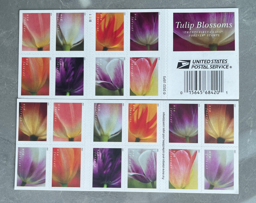 100 TOTAL 2023 USPS 5 SHEETS OF 20 FIRST CLASS LETTER STAMPS TULIP BLOSSOMS 100 TOTAL 2023 USPS 5 SHEETS OF 20 FIRST CLASS LETTER STAMPS TULIP BLOSSOMS