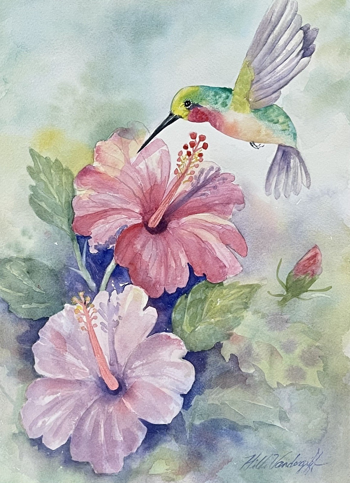 Hummingbird and Hibiscus Flowers Original Watercolor Painting Hummingbird and Hibiscus Flowers Original Watercolor Painting