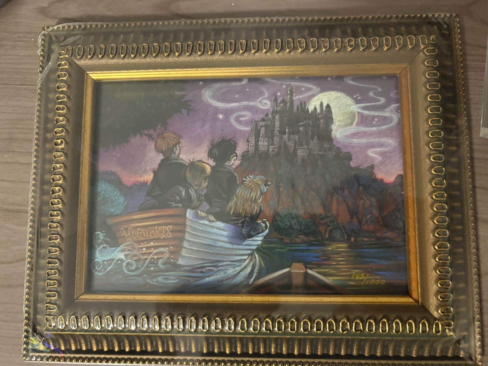 Harry Potter Framed Art  - \