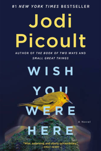 Wish You Were Here: A Novel - Hardcover By Picoult, Jodi - GOOD Wish You Were Here: A Novel - Hardcover By Picoult, Jodi - GOOD