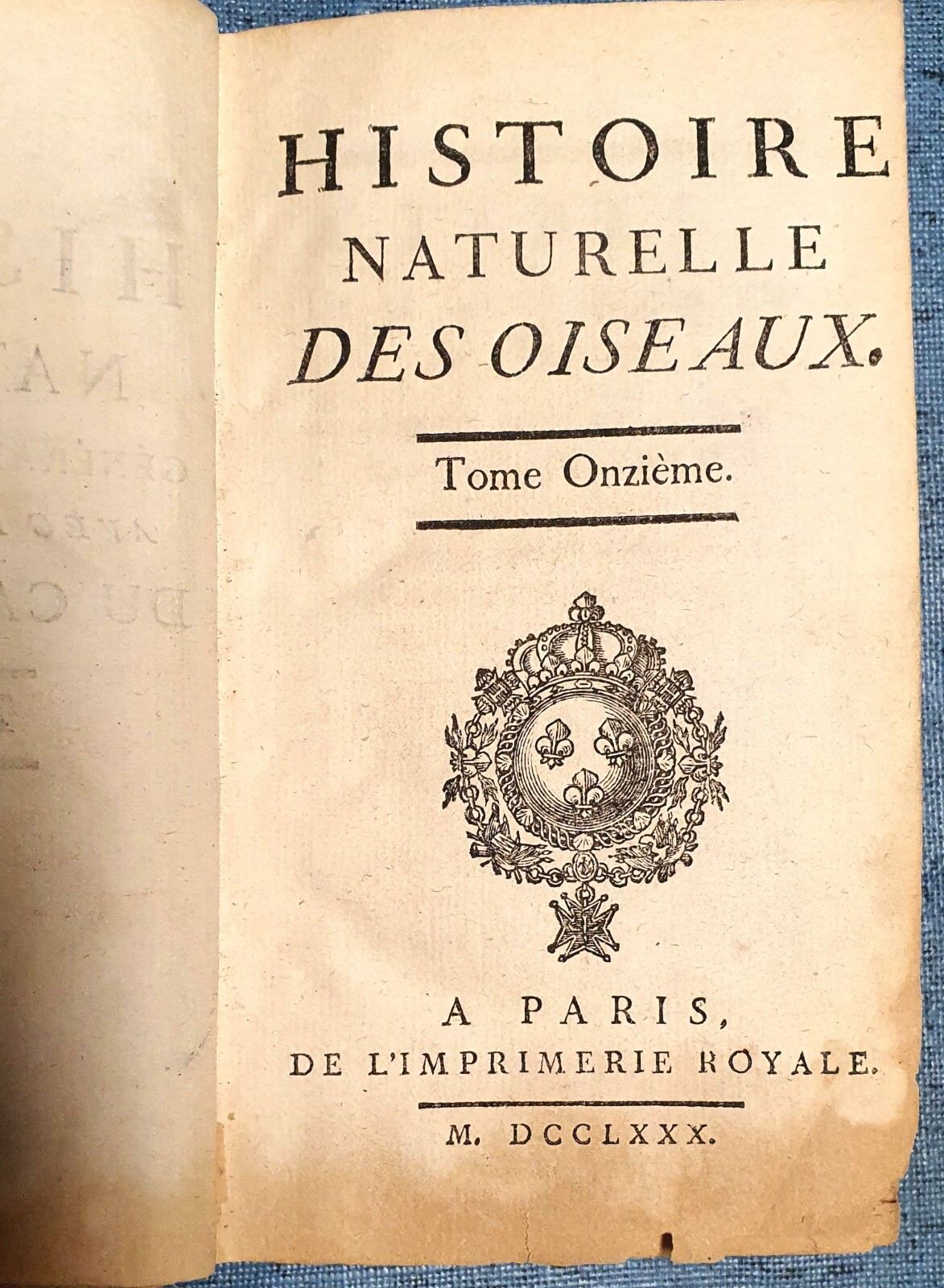 1780 Histoire Naturelle Des Oiseaux Illustrated Antique Book Volume 11