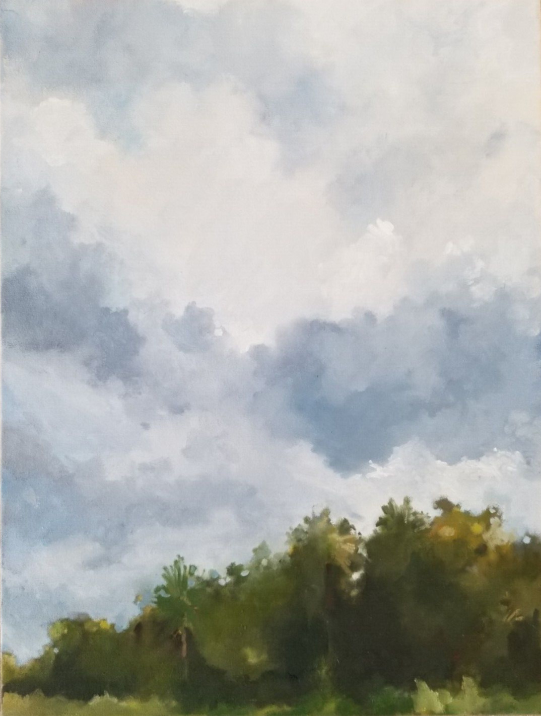 Original Oil Painting Stretched Canvas Unique Modern Artwork Florida Autumn Sky