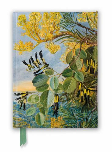 Kew Gardens: Marianne North: Flowers of the Flame-Tree and Yellow and Black Twin