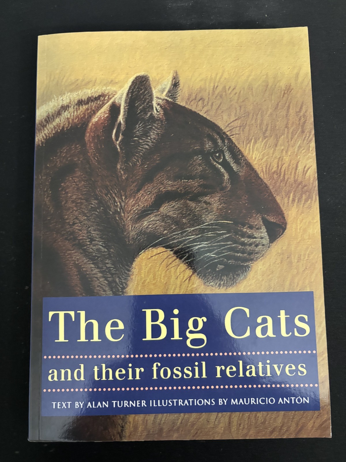 The Big Cats and their Fossil Relatives, Alan Turner - paperback, like new
