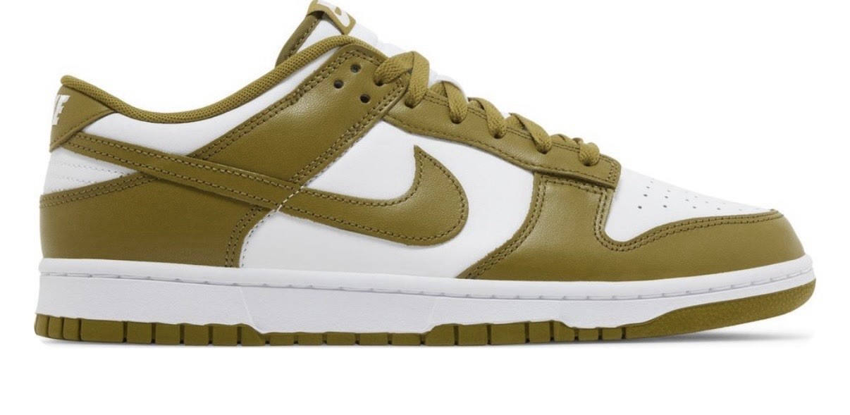 Nike Dunk Low Retro Men’s Casual Sneaker White Pacific Moss Athletic Shoe