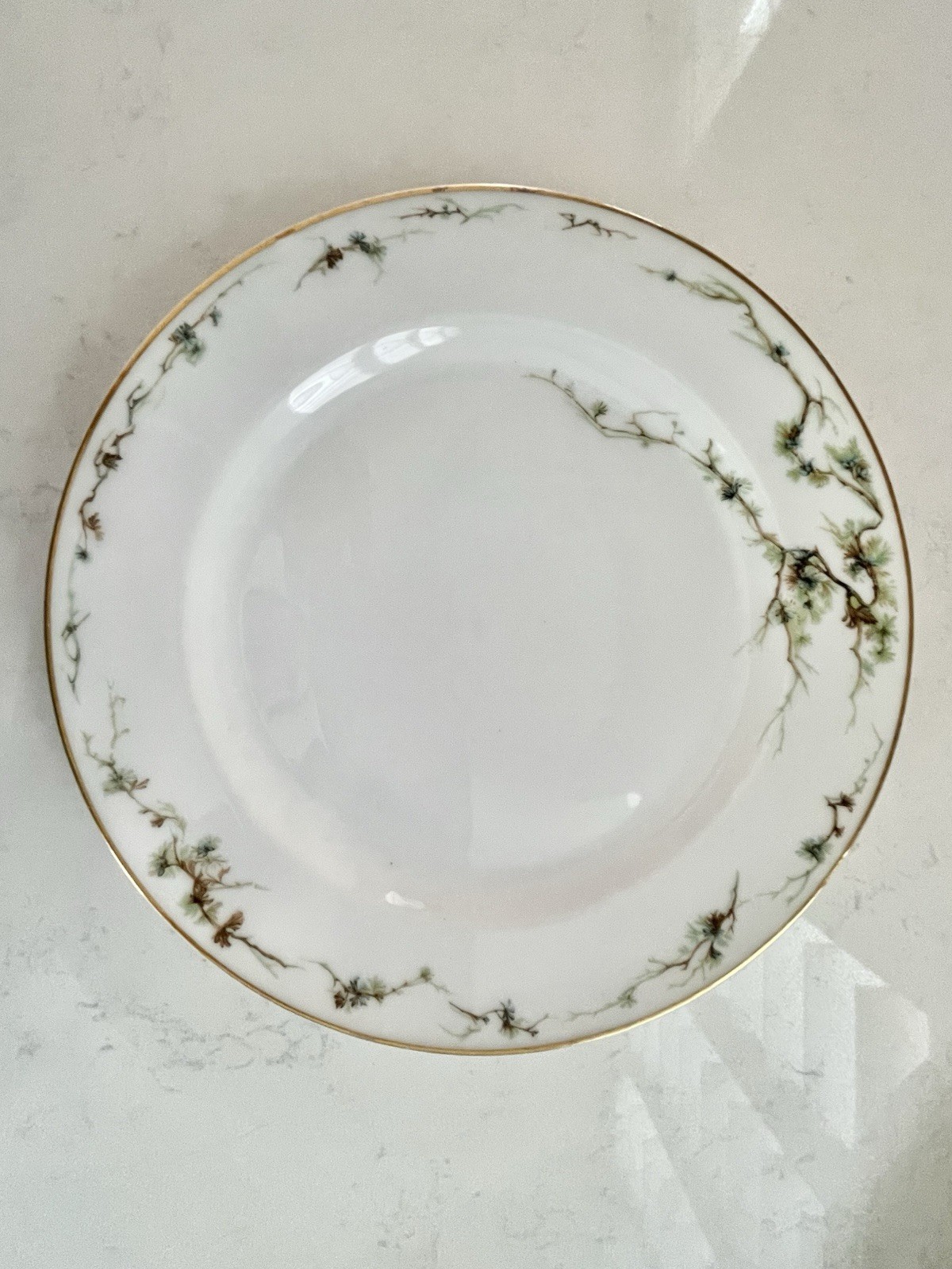 Antique Theodore Haviland Limoges France Schleiger Dinner Plate 9 3/4”(Set of 4)