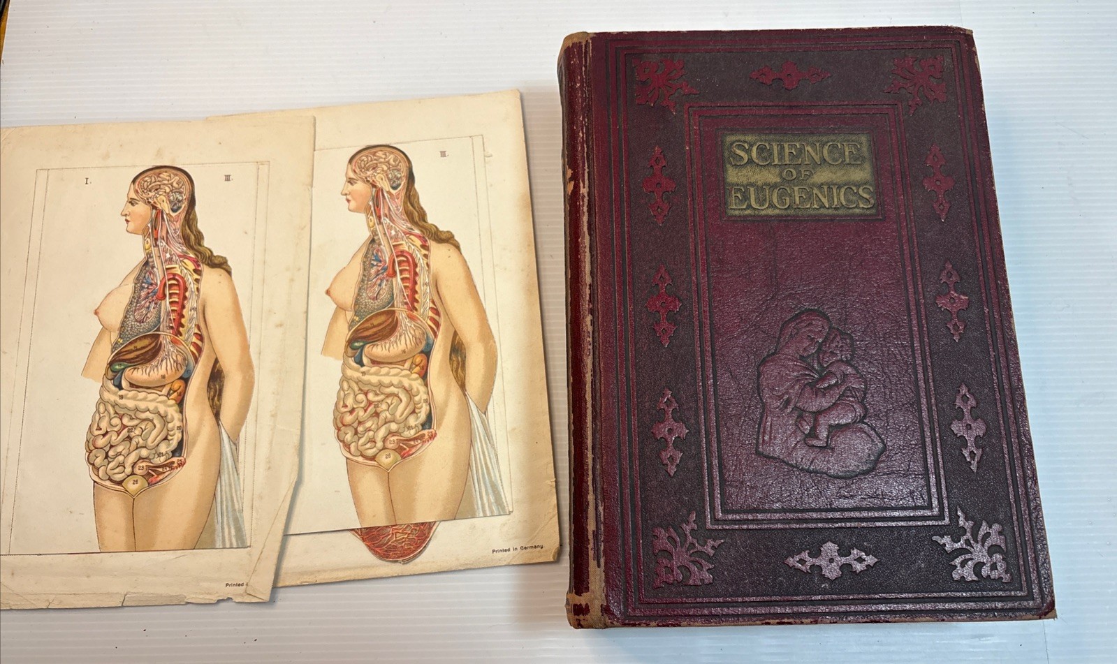 Vintage 1930 Science of Eugenics Sex Life Love Marriage Maternity 27th Print
