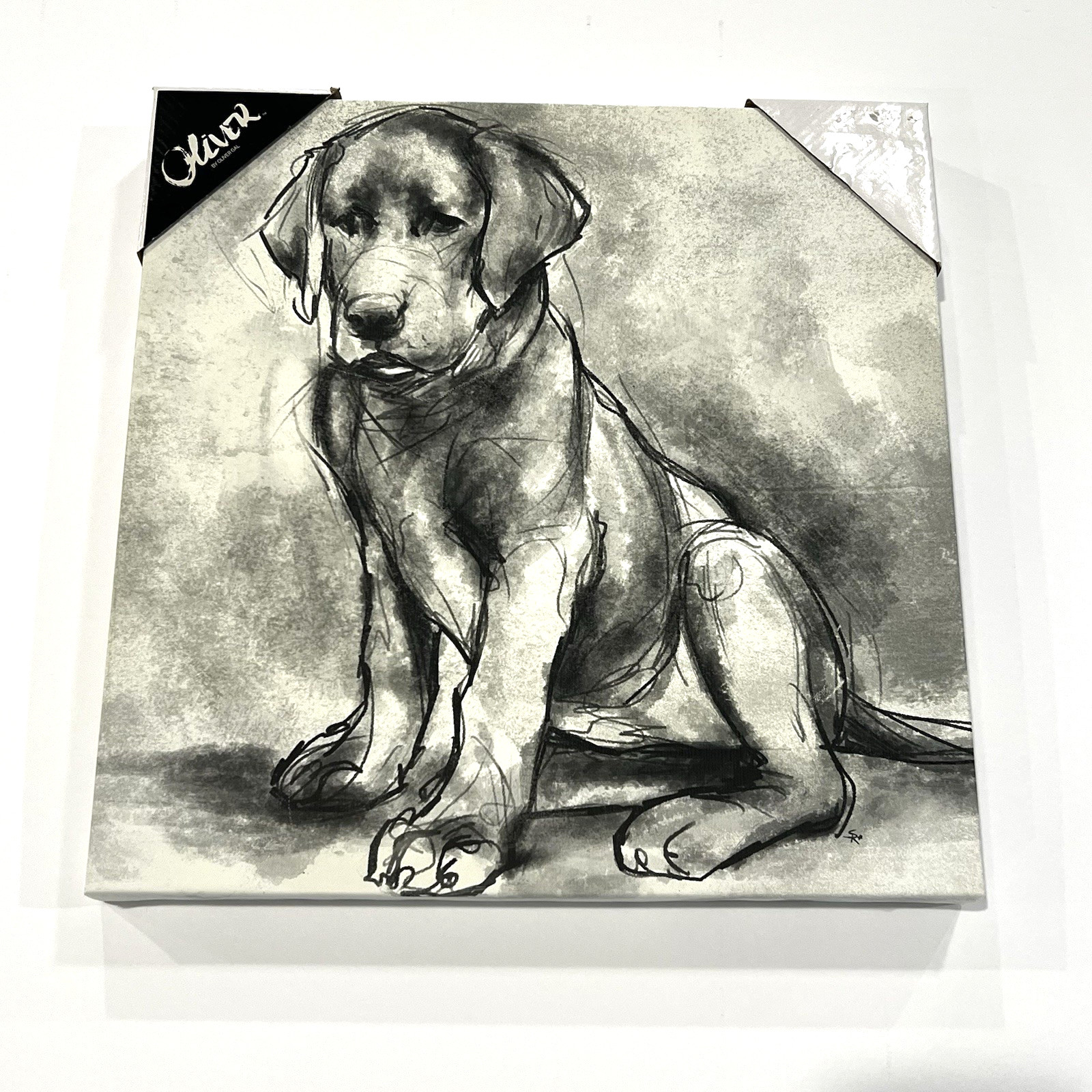 Black & White Sketch Of A Labrador Dog Canvas Wall Art Modern Animal Home 16x16
