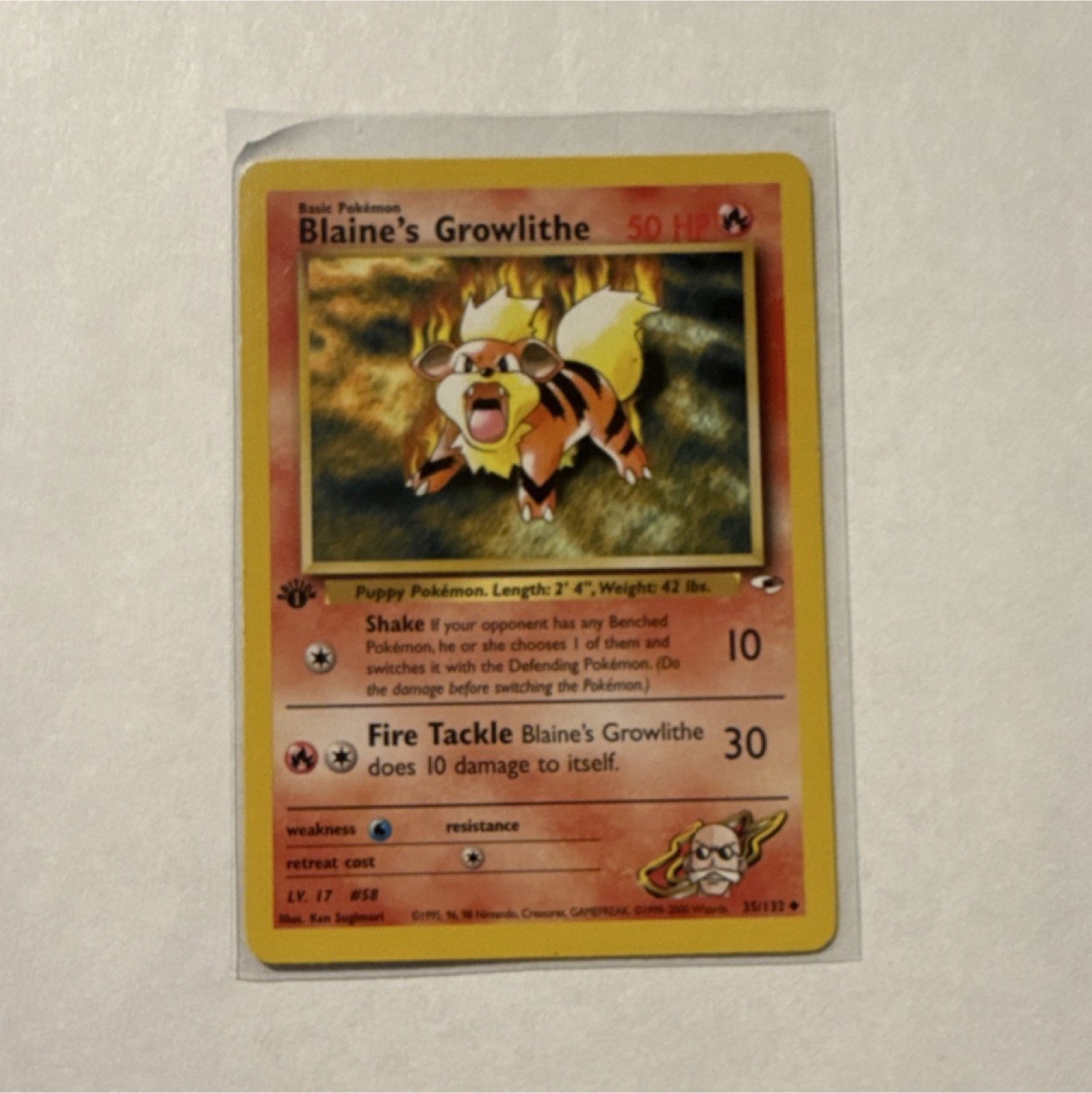 Pokémon Blaine's Growlithe Gym Challenge 35/132 Common Regular WOTC 50HP Basic
