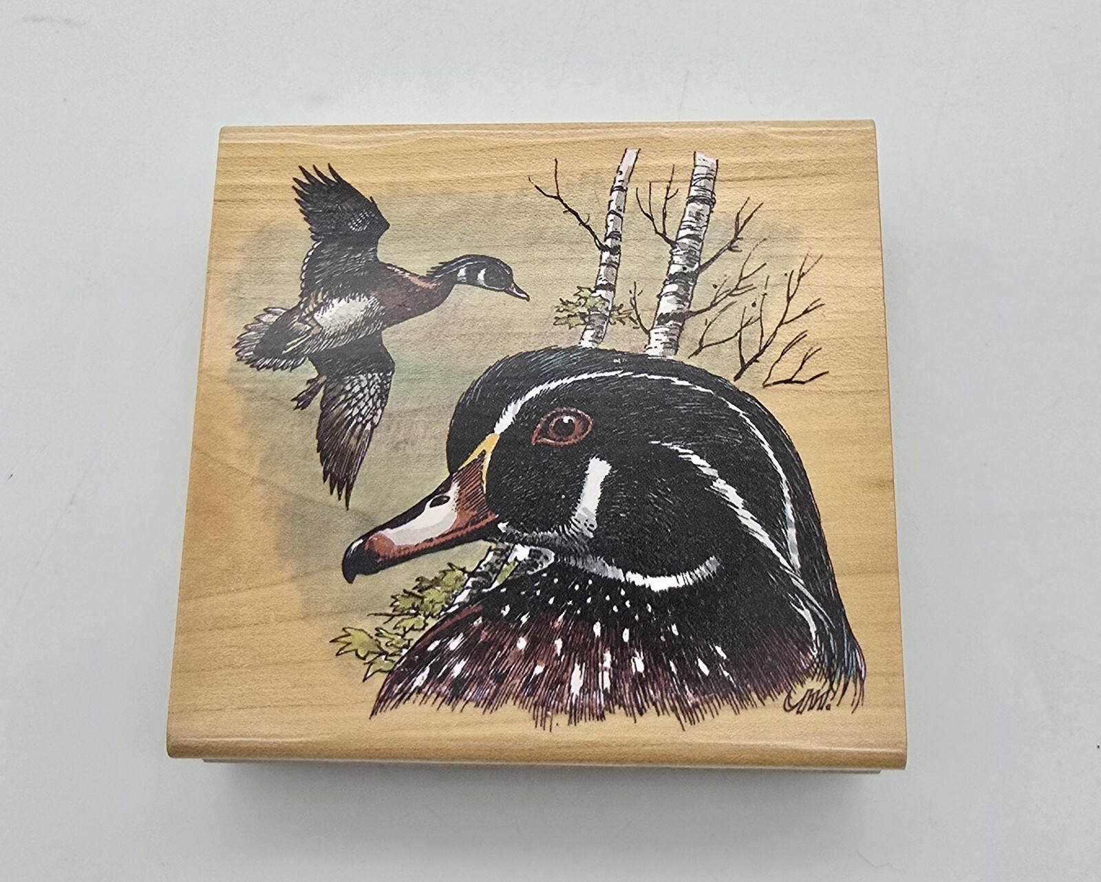 STAMPA ROSA RUBBER STAMP Ducks Wood Duck New Michaelsen 1999 ~ Fall STAMPA ROSA RUBBER STAMP Ducks Wood Duck New Michaelsen 1999 ~ Fall