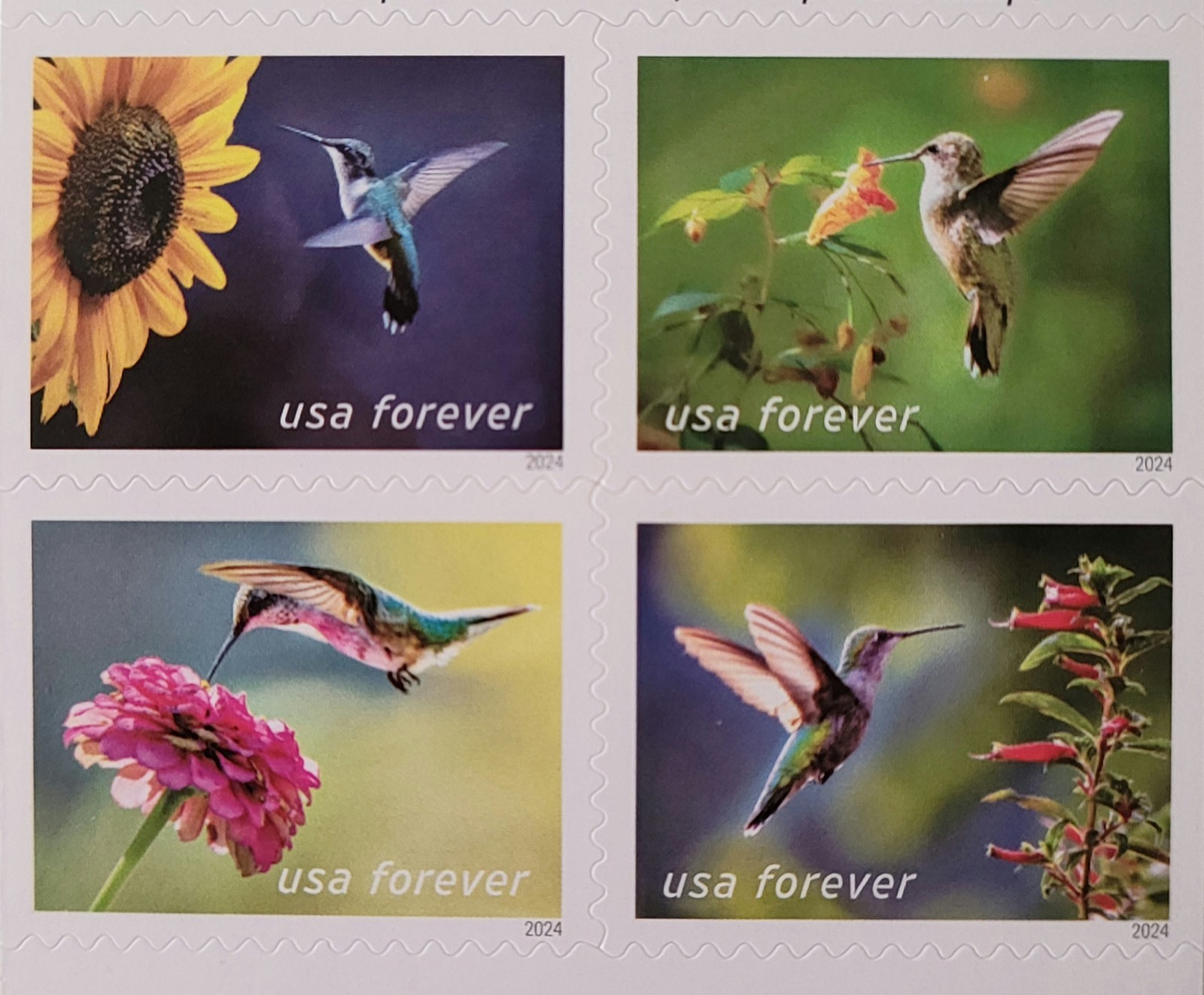 20 FOREVER FIRST CLASS LETTER STAMPS MNH BOOK 20 FOREVER FIRST CLASS LETTER STAMPS MNH BOOK